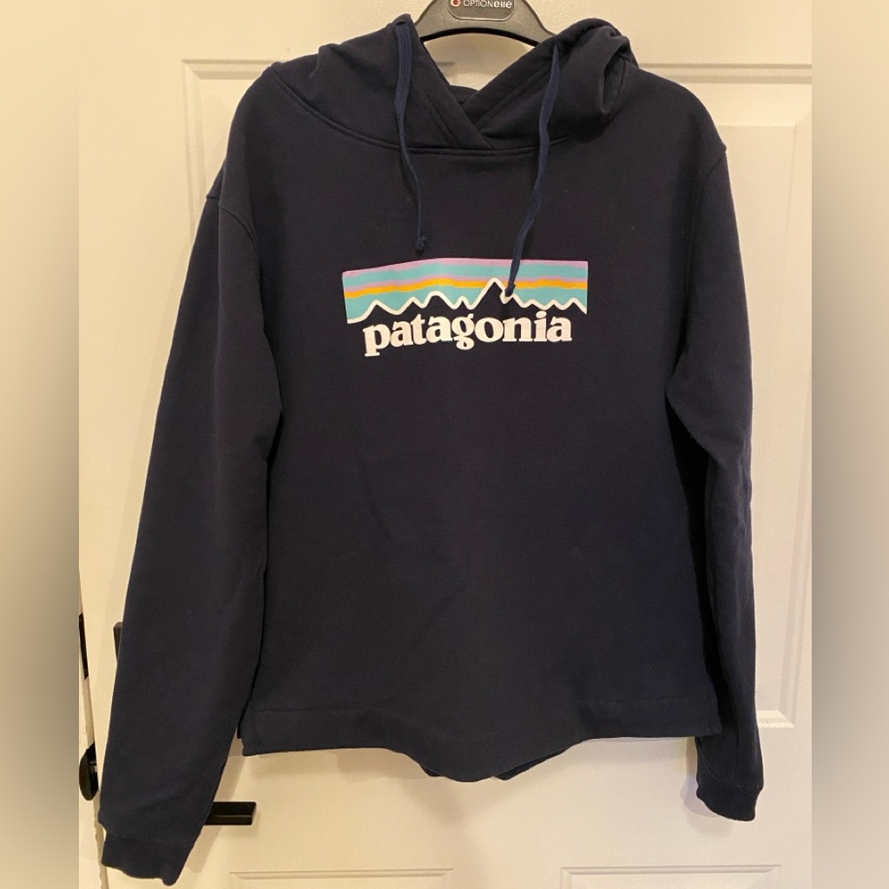 Patagonia hoodie